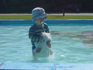 eendjes worden nat in het water