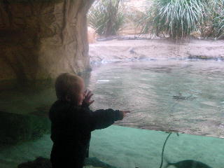 wat een mooie visjes in het Sydney Aquarium