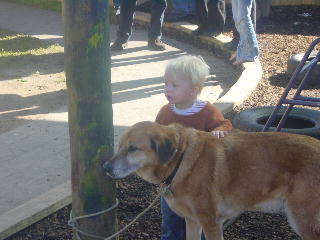 en deze grote hond was meteen Niklas grote vriend!